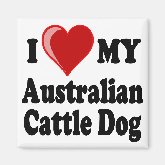 I Kärlek My Australian Cattle Hund Magnet (Framsidan)