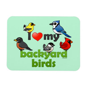 I Kärlek My Backyard Birds Magnet