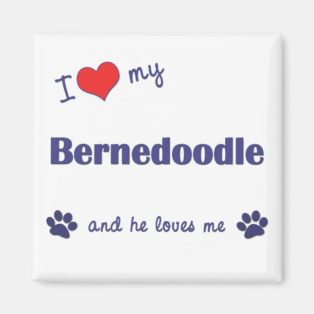 I Kärlek My Bernedoodle (Male Hund) Magnet (Framsidan)