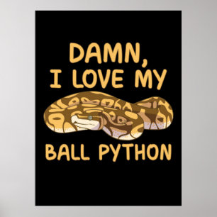 I Kärlek My Boll Python Poster