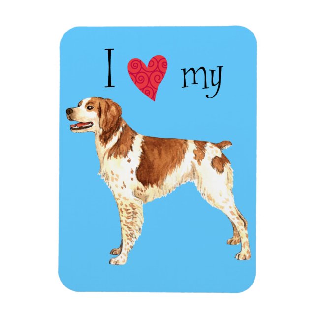 I Kärlek my Brittany Magnet (Vertikal)