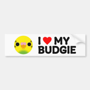 I KÄRLEK, MY BUDGIE - regressionsinledning Bildekal