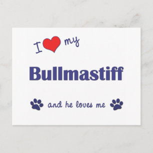I Kärlek My Bullmastiff (Manlig Hund) Vykort