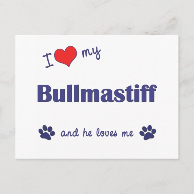 I Kärlek My Bullmastiff (Manlig Hund) Vykort (Framsida)