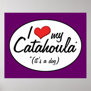 I Kärlek My Catahoula (Det är en Hund) Poster