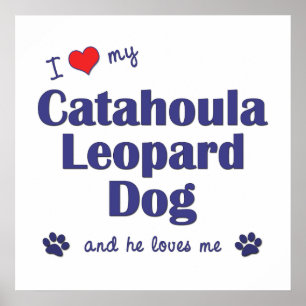 I Kärlek My Catahoula Leopard Hund (Male Hund) Poster