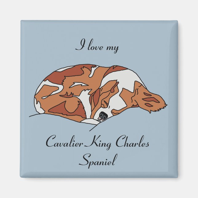 I Kärlek My Cavalier Kung Charles Spain Magnet (Framsidan)