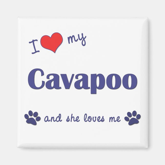 I Kärlek My Cavapoo (kvinnlig Hund) Magnet (Framsidan)
