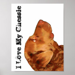I Kärlek My Chessie Poster