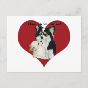 "I Kärlek My Chhihuahua" Hund Art-vykort Vykort