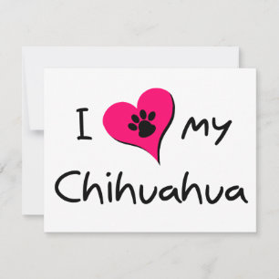 I Kärlek my Chihuahua