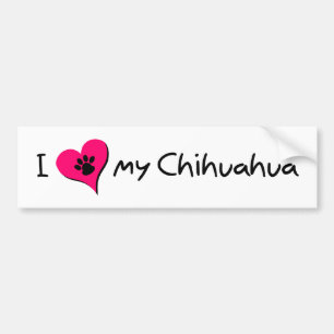 I Kärlek my Chihuahua Bildekal