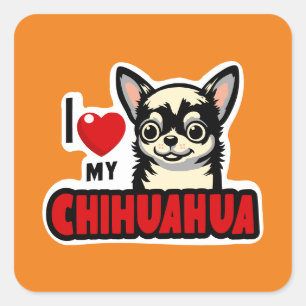 I Kärlek My Chihuahua Fyrkantigt Klistermärke