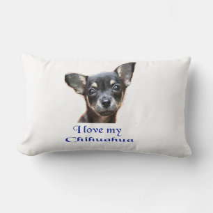 I kärlek my Chihuahua Lumbarkudde