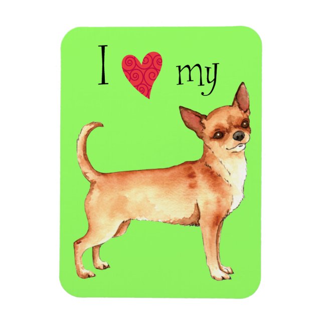 I Kärlek my Chihuahua Magnet (Vertikal)