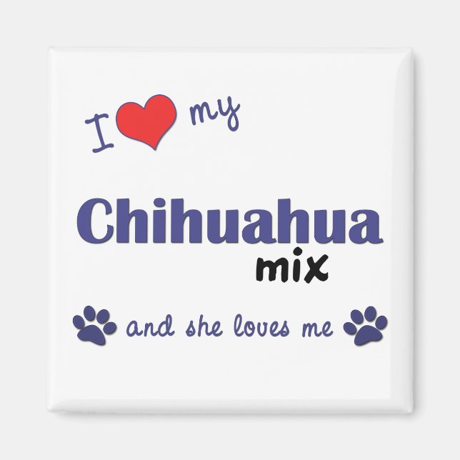 I Kärlek My Chihuahua Mix (kvinnlig Hund) Magnet (Framsidan)