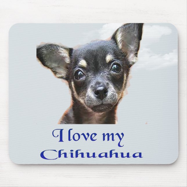 I kärlek My Chihuahua Musmatta (Framsidan)