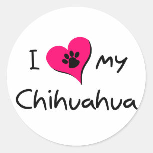 I Kärlek my Chihuahua Runt Klistermärke