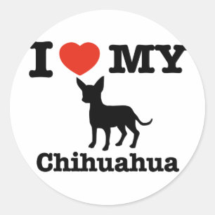 I kärlek my Chihuahua Runt Klistermärke