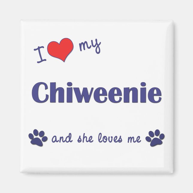 I Kärlek My Chiweenie (kvinnlig Hund) Magnet (Framsidan)