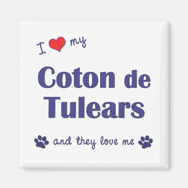 I Kärlek My Coton de Tulears (Många Hundar) Magnet (Framsidan)