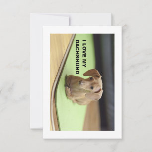 I Kärlek My Cream Dachshund med bild Tack Kort