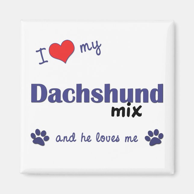 I Kärlek My Dachshund Mix (Manlig Hund) Magnet (Framsidan)