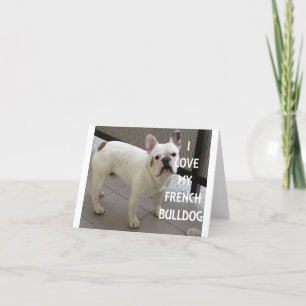 I Kärlek My Fransk Bulldog Tack Kort