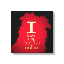 I KÄRLEK MY GRÄNS COLLIE