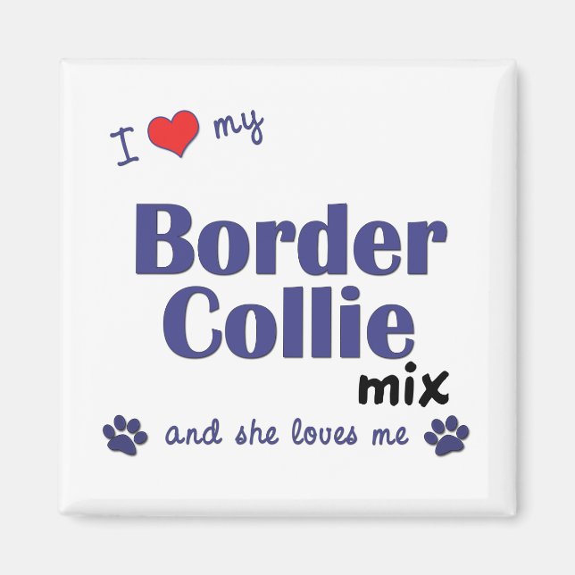 I Kärlek My Gräns Collie Mix (kvinnlig Hund) Magnet (Framsidan)