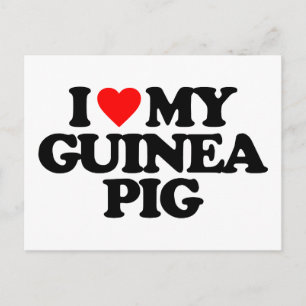 I KÄRLEK MY GUINEA GRIS VYKORT