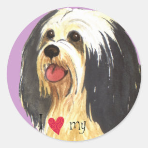 I Kärlek my Havanese Runt Klistermärke