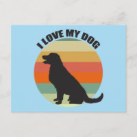I Kärlek My Hund Cute Golden Retriever Sunset