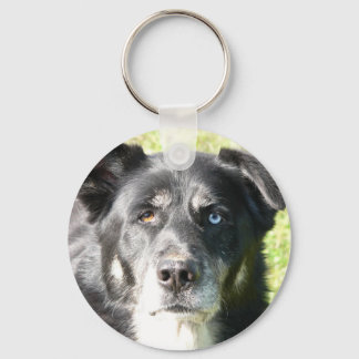 I Kärlek My Hund Keychain Nyckelring
