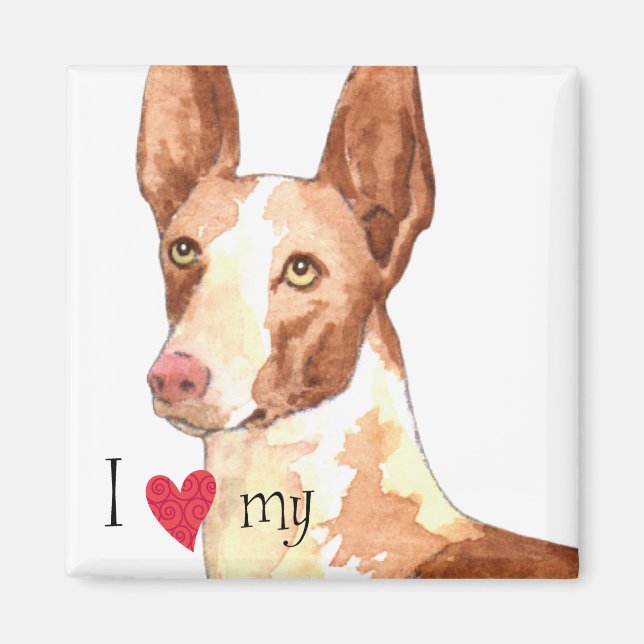 I Kärlek my Ibizan Hound Magnet (Framsidan)