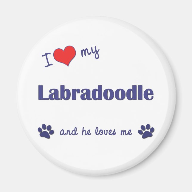 I Kärlek My Labradoodle (Male Hund) Magnet (Framsidan)