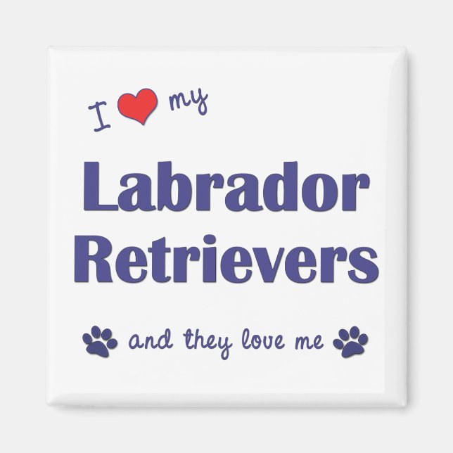 I Kärlek My Labrador Retrievers (Många Hundar) Magnet (Framsidan)