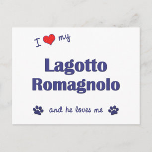 I Kärlek My Lagotto Romagnolo (Male Hund) Vykort