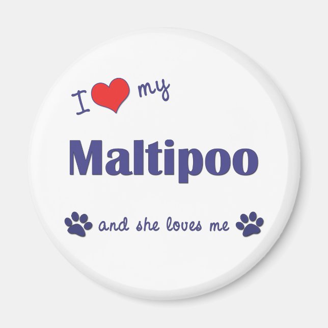 I Kärlek My Maltipoo (kvinnlig Hund) Magnet (Framsidan)