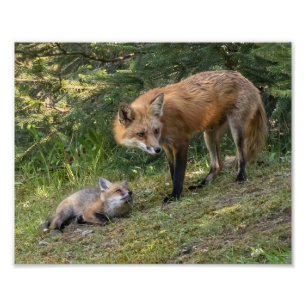 I Kärlek My Mamma Fototryck