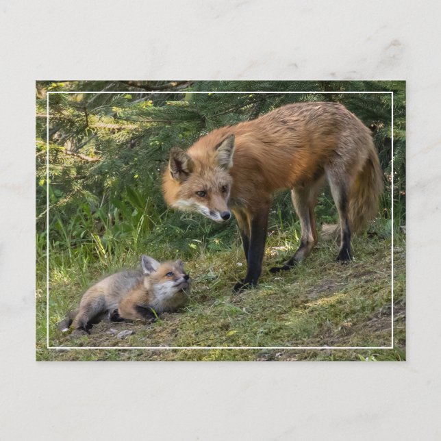 I Kärlek My Mamma Vykort (Framsida)