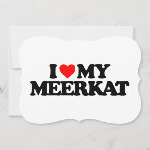 I KÄRLEK MY MEERKAT
