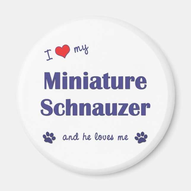 I Kärlek My Miniature Schnauzer (Male Hund) Magnet (Framsidan)