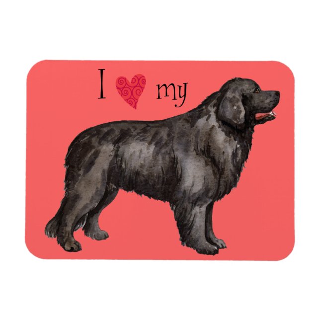 I Kärlek my Newfoundland Magnet (Horisontell)