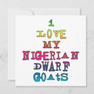 I Kärlek My Nigerian Dwarf Goats