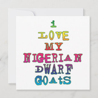 I Kärlek My Nigerian Dwarf Goats