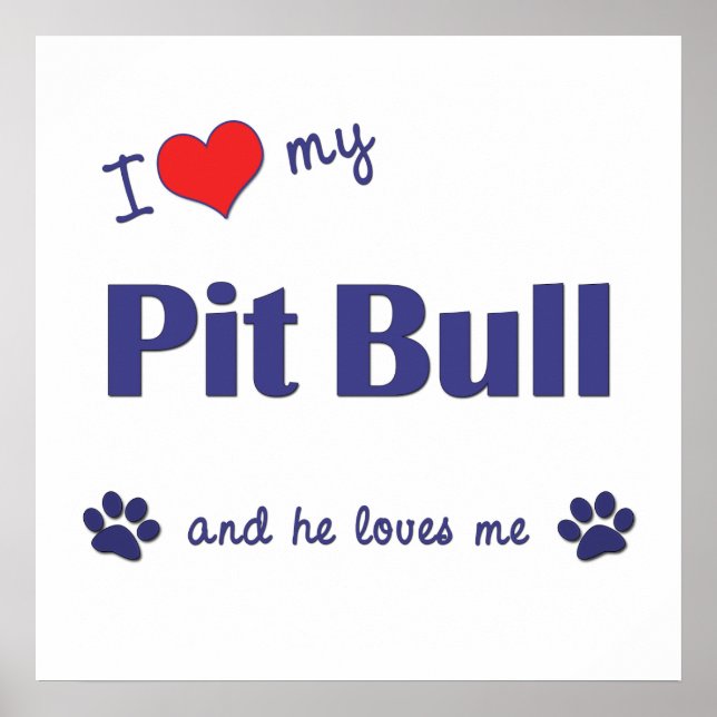I Kärlek My Pit Bull (hane Hund) Poster (Framsidan)
