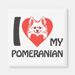 I Kärlek My Pomeranian - Cute Fluffy Hund älskare Magnet