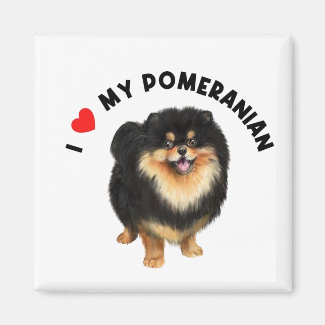I Kärlek My Pommern Cute Pommern Puppy Hund Art Magnet (Framsidan)
