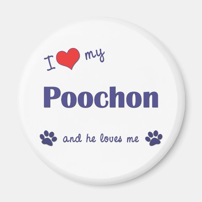 I Kärlek My Poochon (Manlig Hund) Magnet (Framsidan)